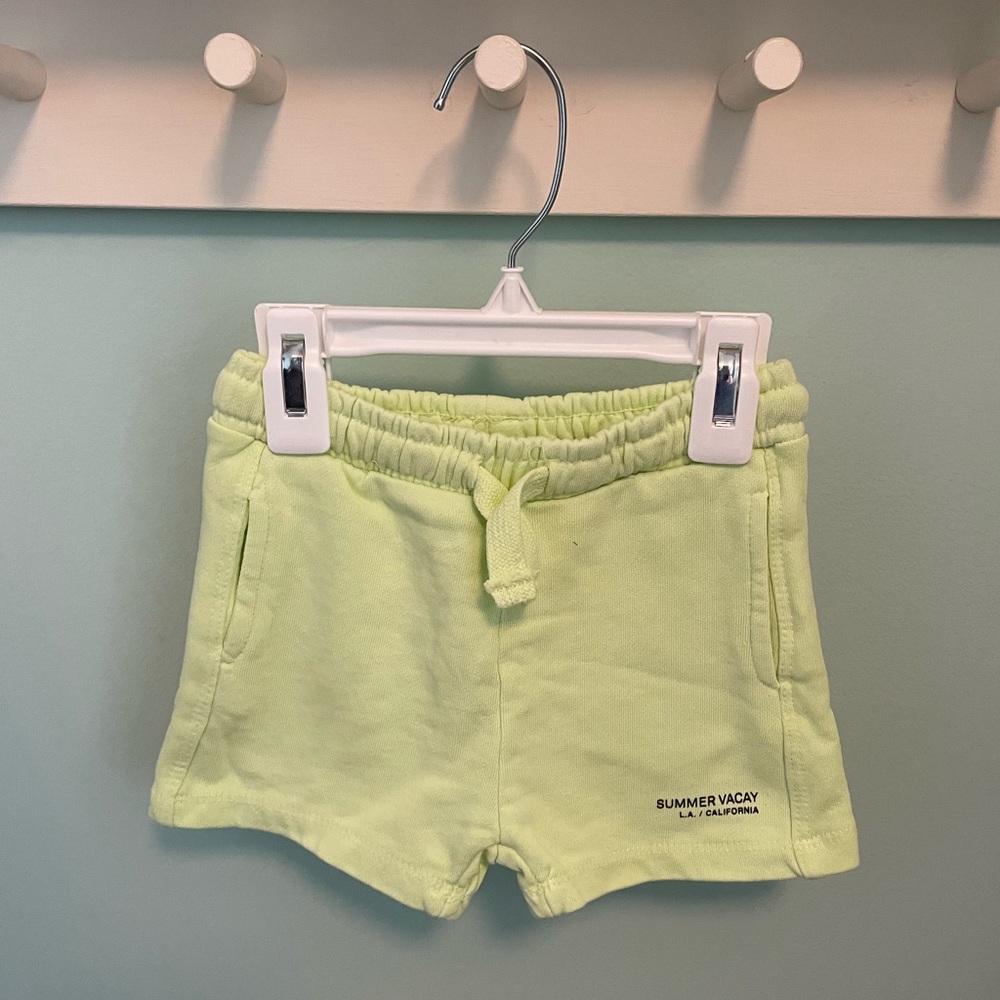 Zara Plush Shorts